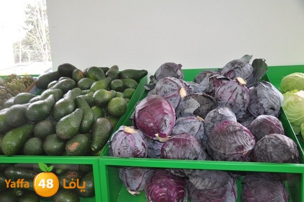 souq yaffa 0123 (7).JPG